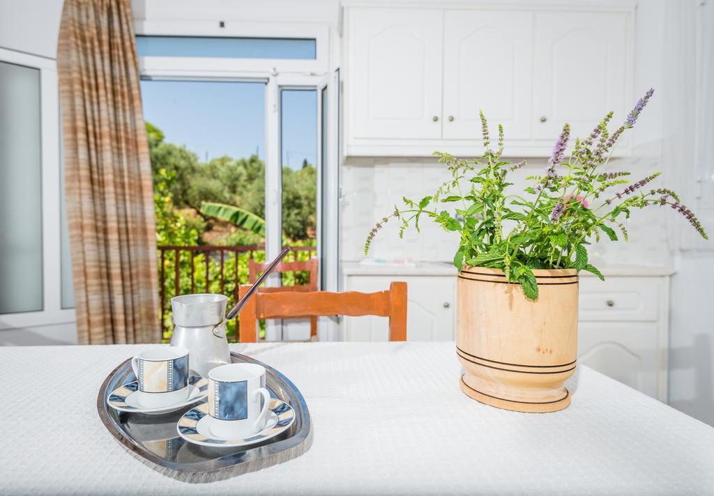 Tassos & Marios Apartments II اليكاناس الغرفة الصورة